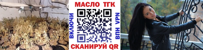купить   Шарья  ТГК концентрат 