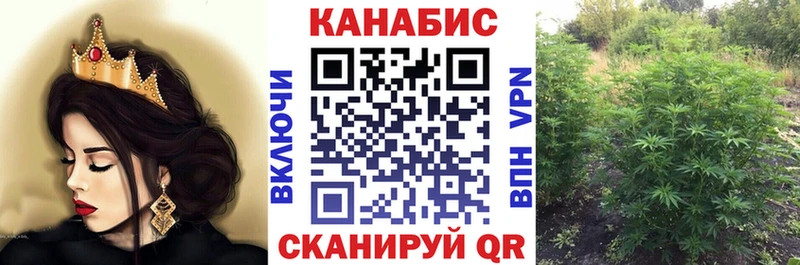 MEGA зеркало  Шарья  Шишки марихуана марихуана  закладки 